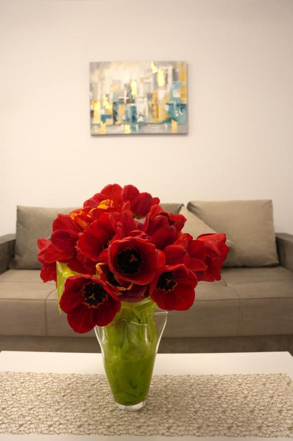 Brigitte Apartment Braşov Esterno foto
